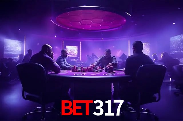 Interface Premium bet317